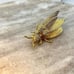 Vntg 50s Hattie Carnegie Signed Flying Bee Brooch Wings Bounce Missing Stone 2in