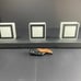 Ralbay LED Vanity Light, 3 Lamps — Install Service Available