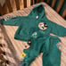 ZARA MICKEY MOUSE AND FRIENDS DISNEY 100TH ANNIVERSARY SWEATSHIRT SET