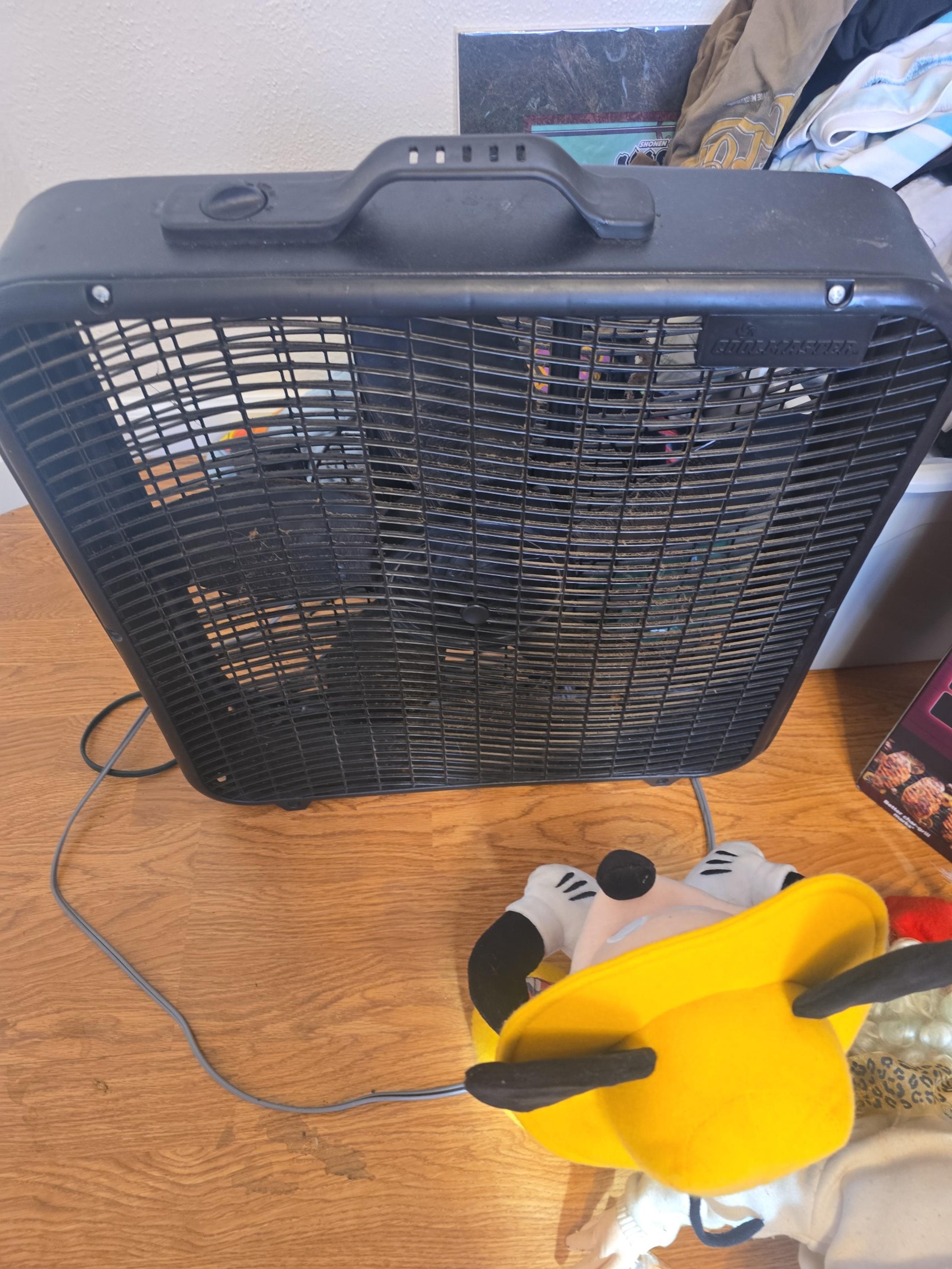 Fan