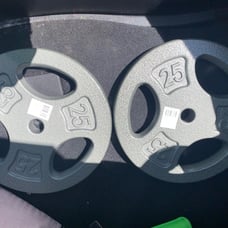 25lb plates set