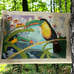 Betty Cunningham “Two Toucans” Needle Craft *Canvas Only” No Instruction or Yarn
