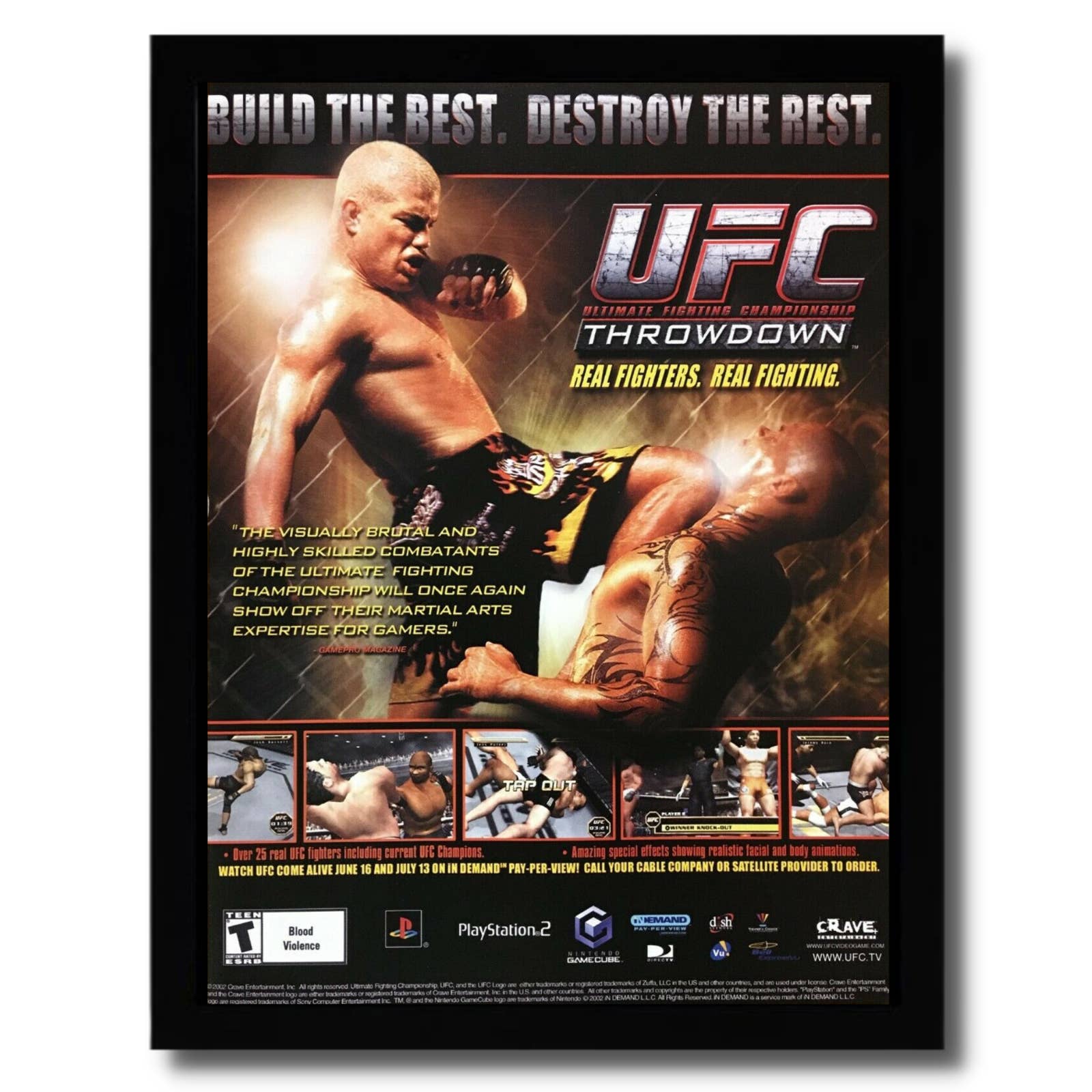 2002 UFC: Throwdown Framed Print Ad/Poster PS2 Gamecube Fighting Game Room Art