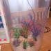 Fish tank bundle, lots of extras