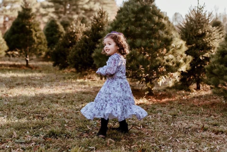 Toddler Ivy City Co Viola Dress 3T