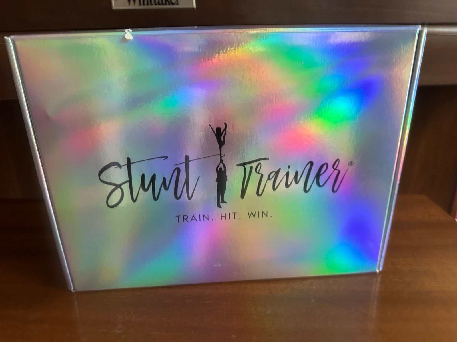 Stunt trainer