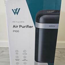 WELOV P100 Air Purifier