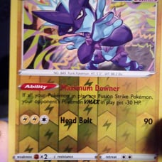 11 Holo/reverse Holo pokemon card haul