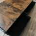 Dog ramp with storage