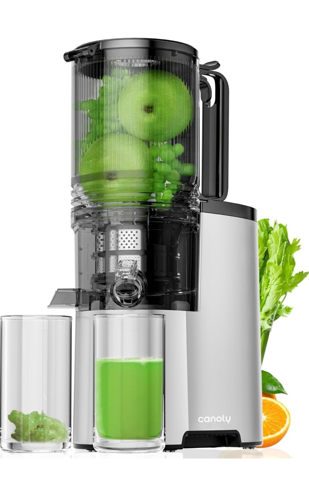 Cold Press Juicer