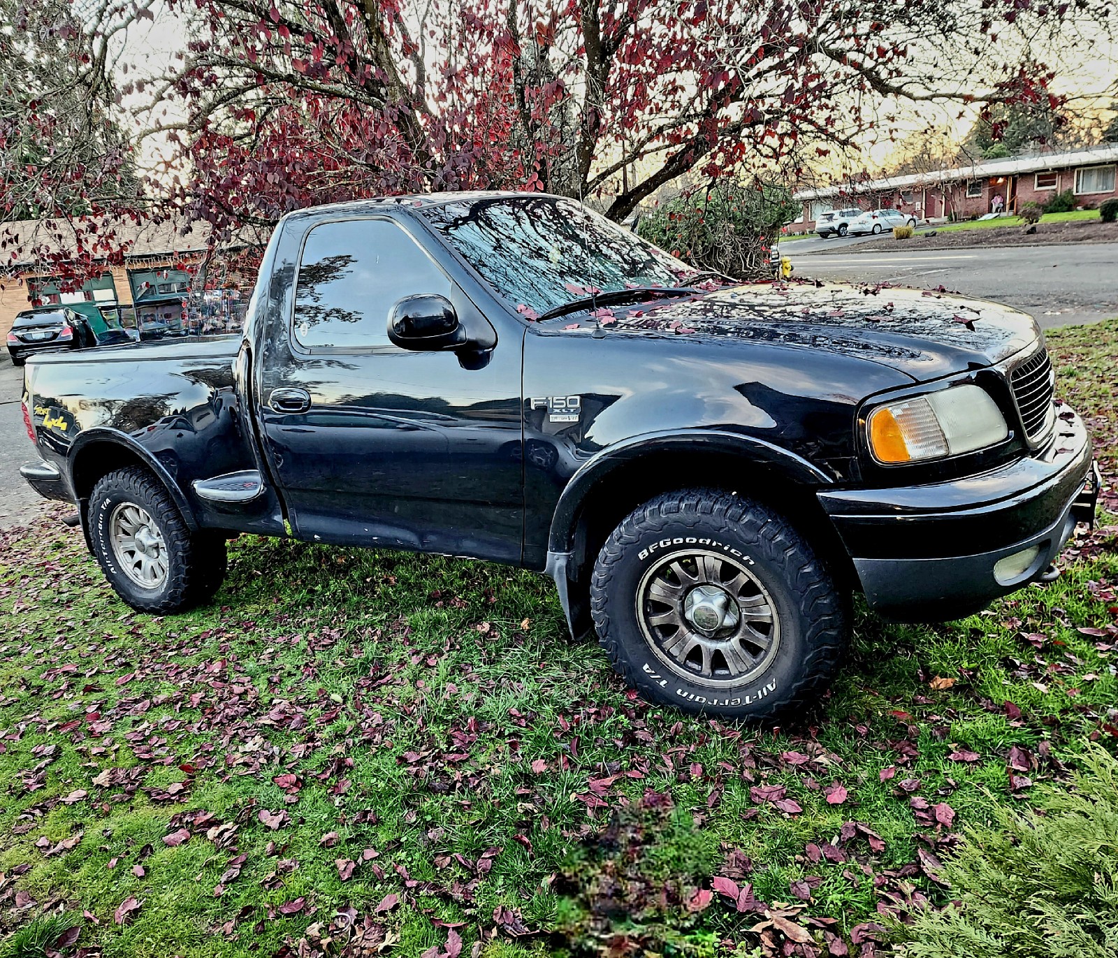 2001 Ford F-150 Flareside XLT Sport V8 Triton