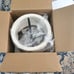 NIB Forty West Designs 70794 Sadie Rustic Farmhouse Pendant Light NEW