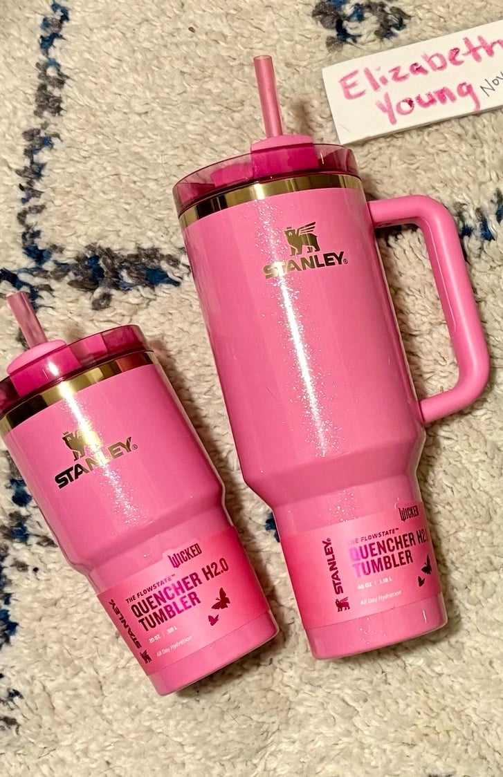 Stanley Wicked Glinda SET!