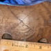 Vtg hand carved cat base flat top