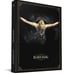 Elden Ring Official Strategy Guide Vol. 2: Shards of the Shattering Future Press
