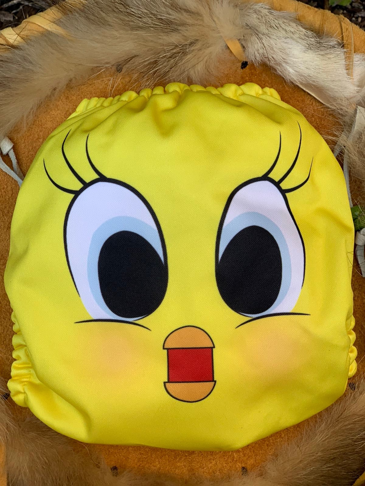 ❤️MK Cloth Diaper TWEETY
