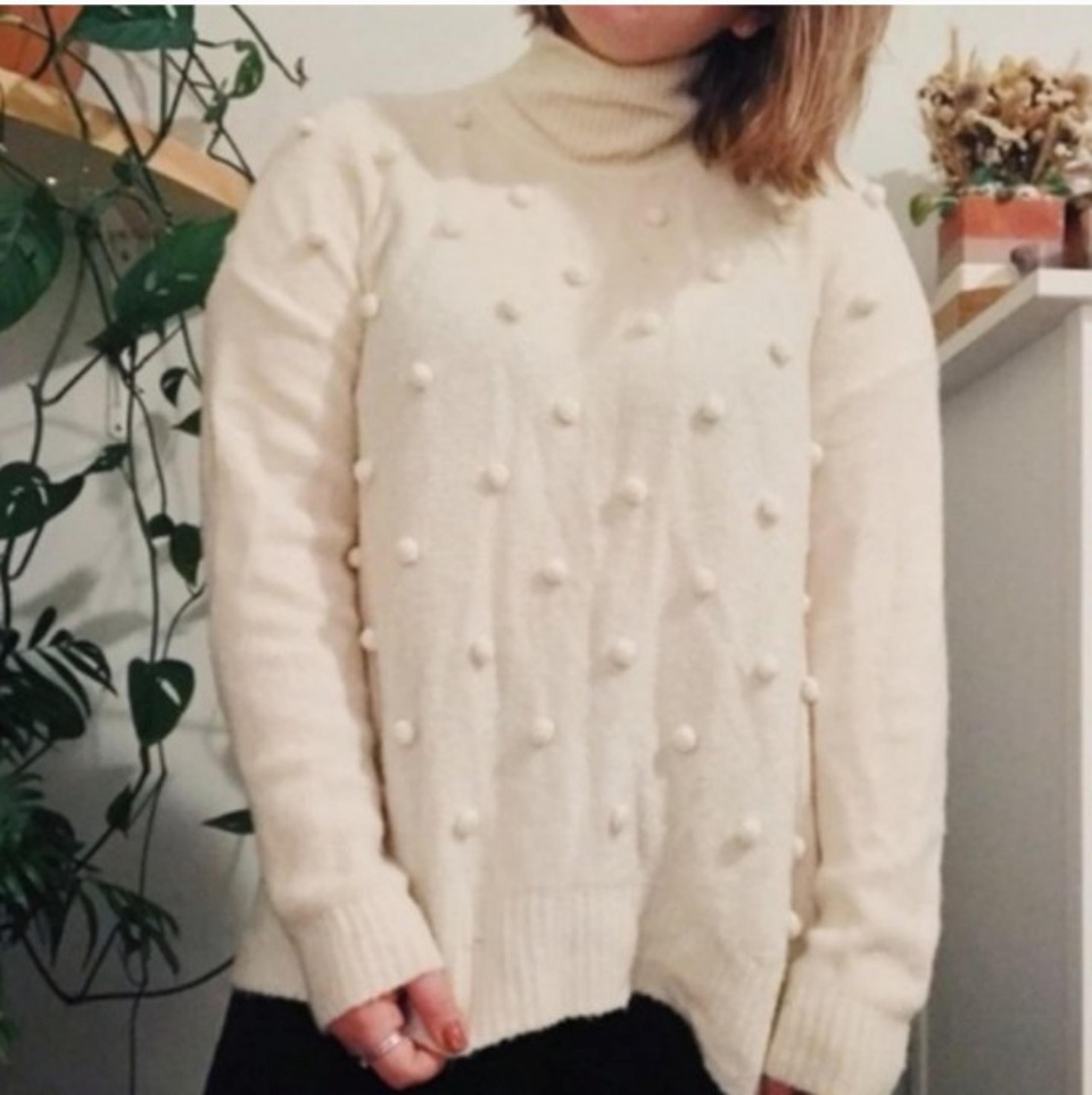 Madewell Pom Pom Turtleneck Sweater