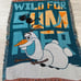 Blanket/ beach towel
