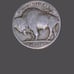 Rare Buffalo Nickel has 3 Errors Liberty on the Rim, No Mint Mark, Undated (W)