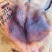 Vintage 1960s Wilson Leather Baseball Glove Mitt Dodgers Ron Perranoski A2260