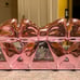 Bath & Body Works Pink Bow tray and Pink Bow zipper bag