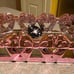 Bath & Body Works Pink Bow tray and Pink Bow zipper bag