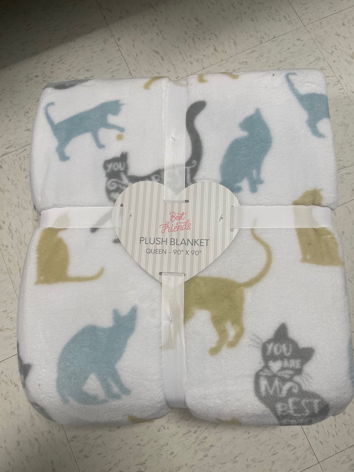 Milo and Friends Best Friends Cat QUEEN Size Throw Blanket