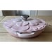 Le Creuset Signature Cast Iron Petal Shallow Casserole,2.25qt Shell Pink #26 NEW