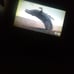 50 sony tv