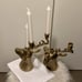 Brass Candelabra candle holders Buck with Antlers Deer Head 13 Tall gold color