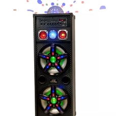 2x10 portable bluetooth speaker