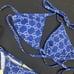 Ⓖuccⓘ bikini