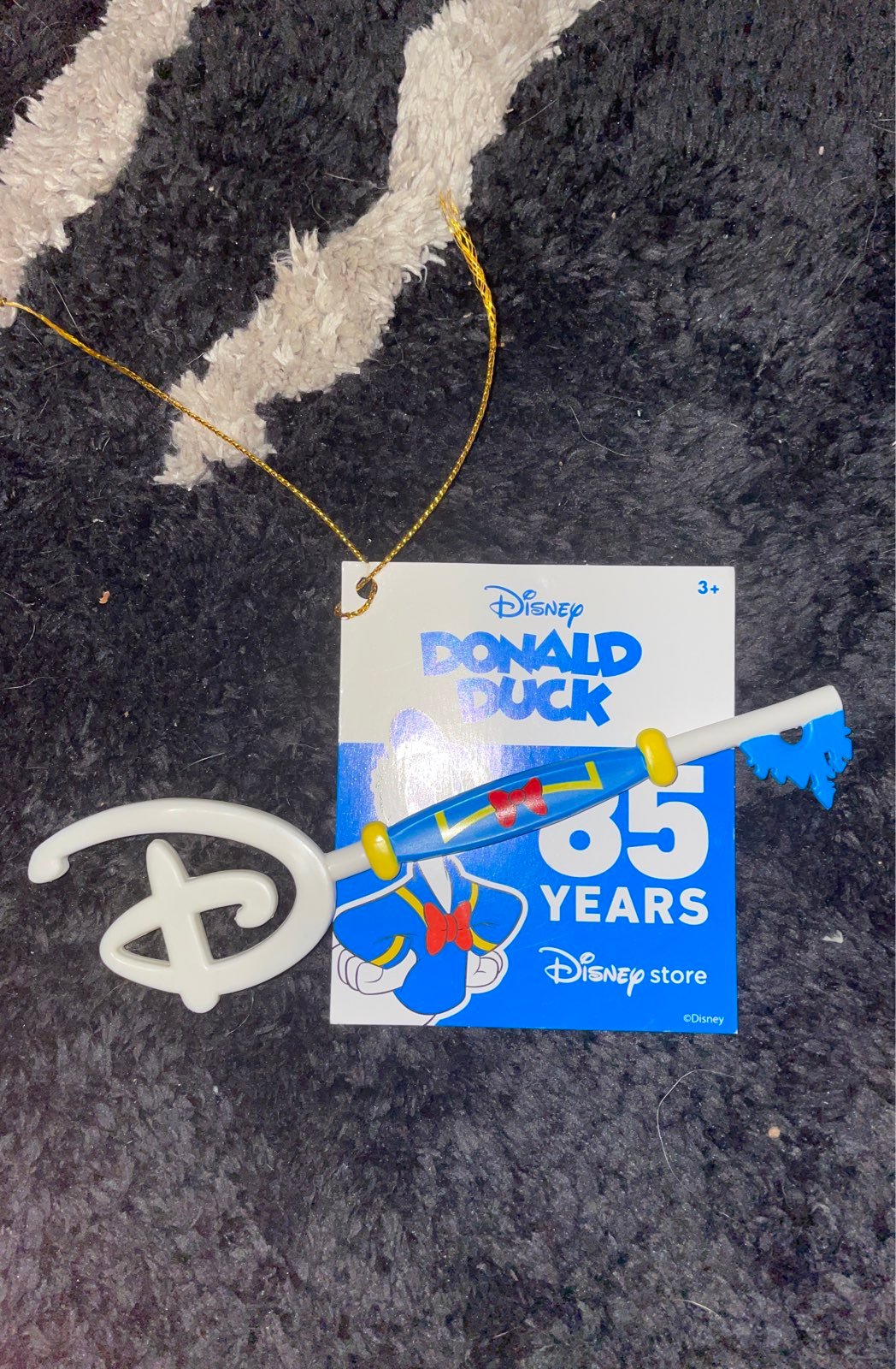 Disney donald key