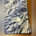 The North Face Never Stop Wearing Skort - Women's Extra Small