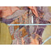 Divine Heritage Paisley Tie Neck Dress Balloon Sleeve Paisley Print Womens S NWT