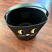 Coach cat Halloween bucket