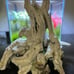 Aquarium Decor