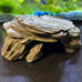 Aquarium Decor