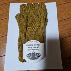 Black Sheep 100% Wool Gloves, New with Tags.