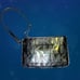 Authentic Michael Kors Wristlet