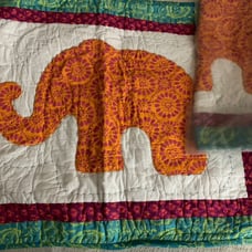 New Company Store Quilt & 2 Shams