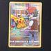 Pikachu trainer gallery secret rare