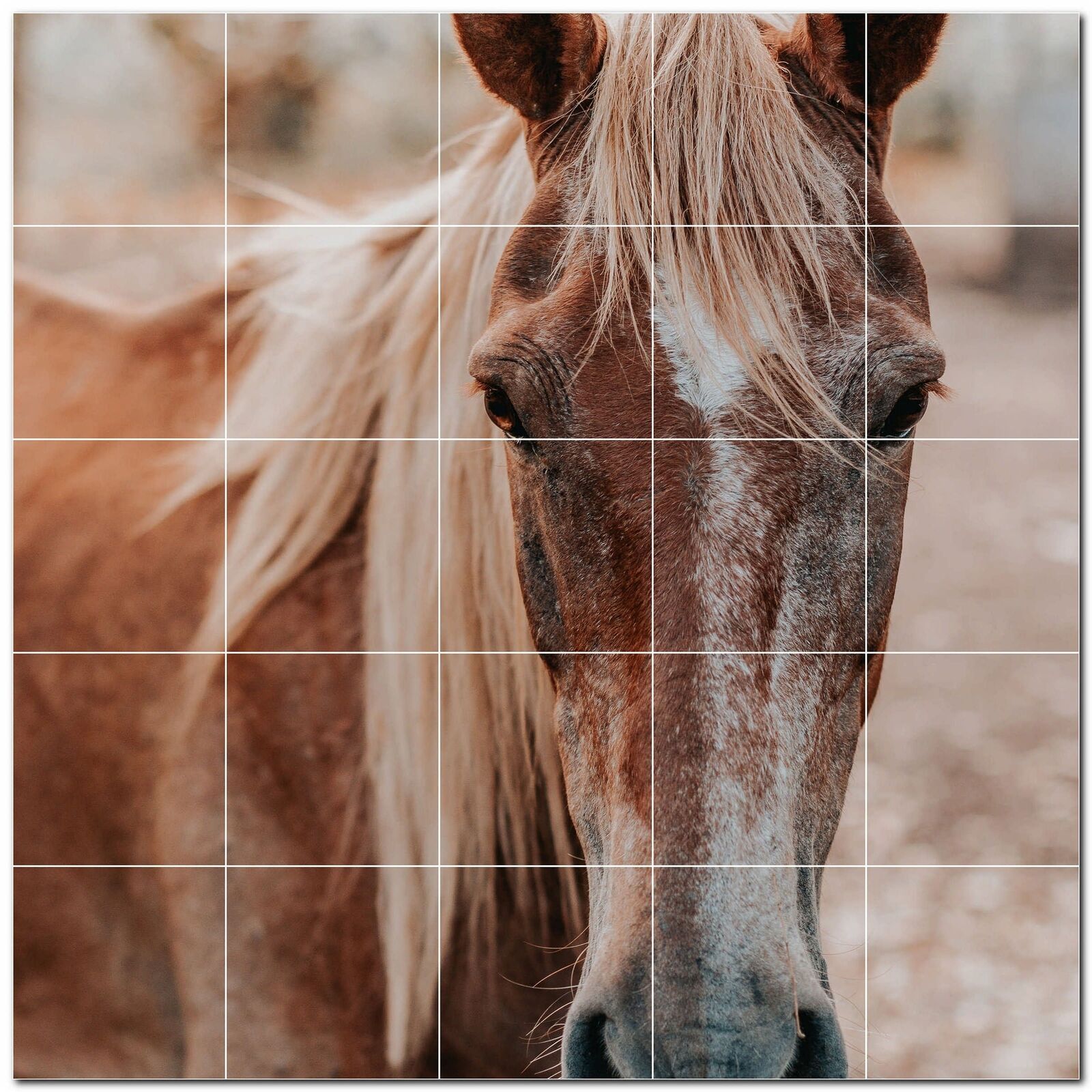 Horse Ceramic Tile Wall Mural PT500769. 25.5 W x 17 H (24) 4.25 tiles