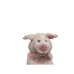 Vintage 24K Polar Puff Special Effects Pink Pig Winston Puppet Plush 1996 RARE