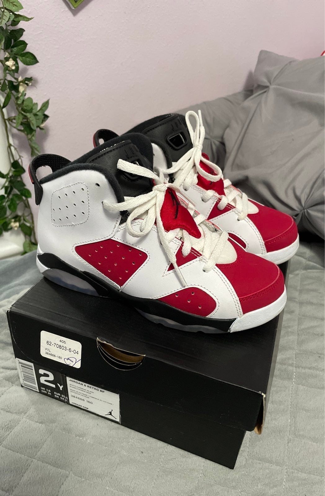 Nike Air Jordan Retro 6 Shoes Carmines
