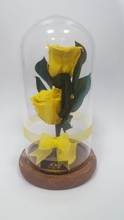 VIVID BOUQUET Preserved Ecuadorian Roses