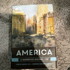 America A Narrative History 10E