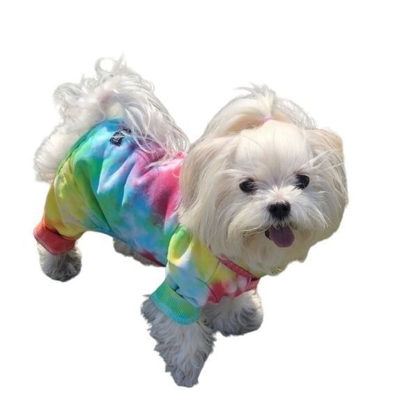 Dog Daze Tie Dye One Piece Dog Outfit XS