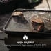 Gas One GS-3400P Propane or Butane Stove Dual Fuel Stove Portable Camping Stove