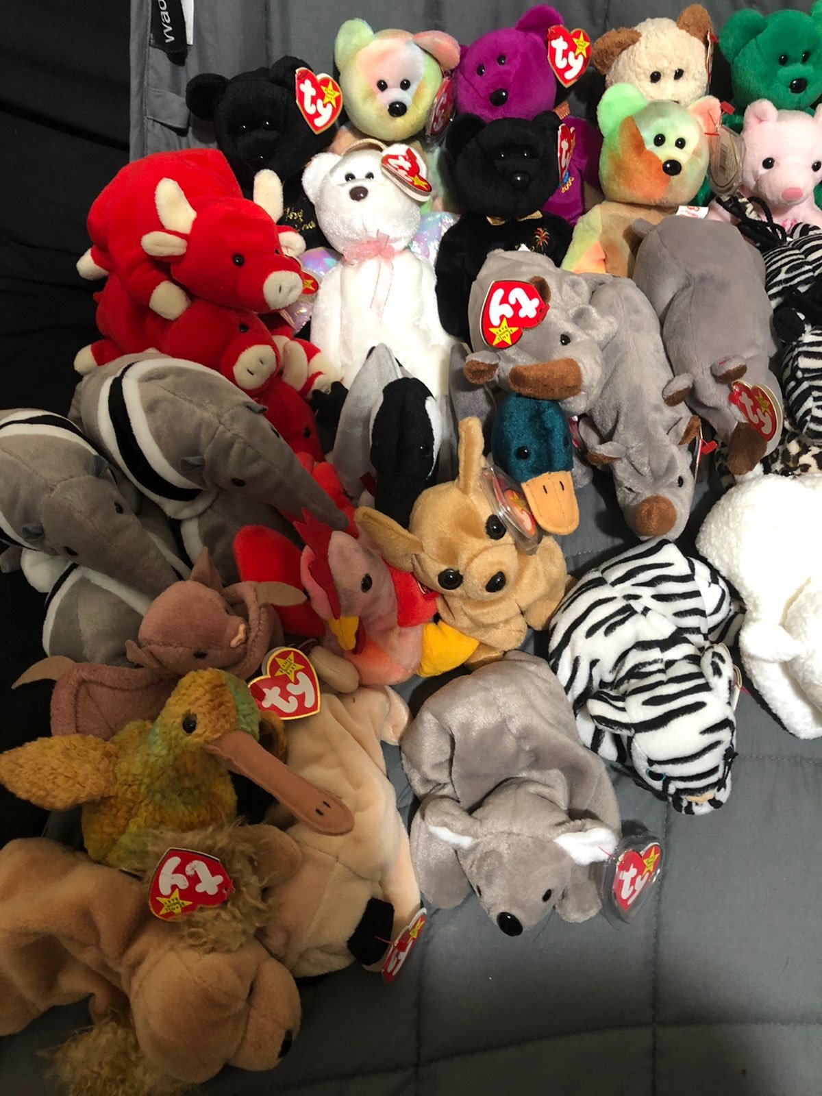 TY Beanie Babies Lot